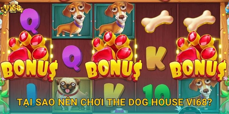 Tại sao nên chơi The Dog House Vi68?